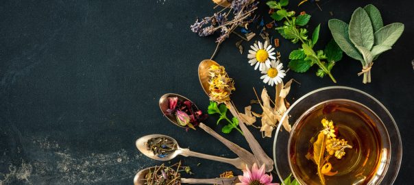 les-plantes-sauvages-comestibles