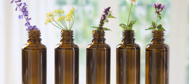 se-soigner-avec-les-fleurs-de-bach-ou-les-sept-aides-du-bon-docteur-bach