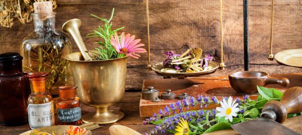 les-plantes-medicinales-sont-de-precieuses-alliees-pour-se-soigner-naturellement