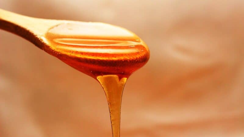 Quelles sont les propriétés du miel de Manuka ?